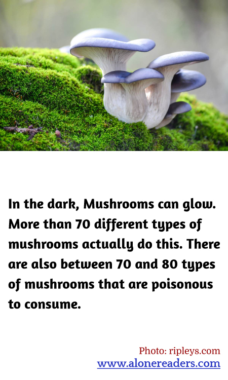 In the dark, Mushrooms can glow. More than 70 different types of mushrooms actually do this. There are also between 70 and 80 types of mushrooms that are poisonous to consume.