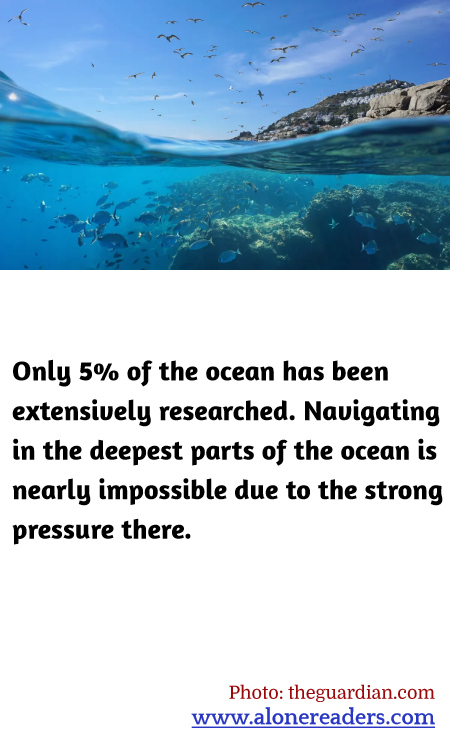 General Knowledge Learning Cards