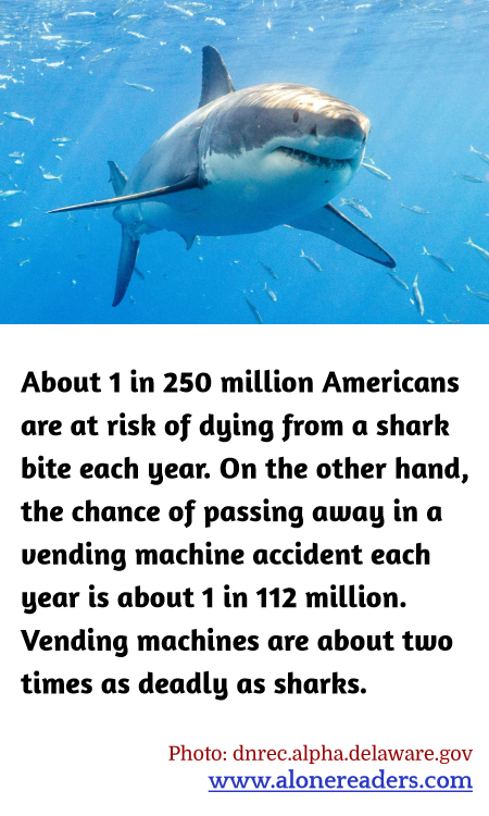 General Knowledge Learning Cards