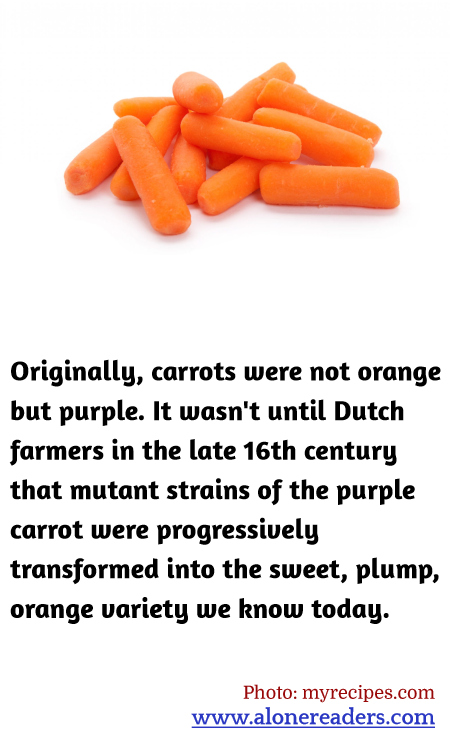 General Knowledge Learning Cards