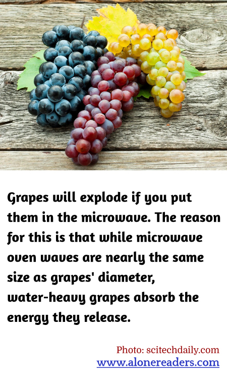 General Knowledge Learning Cards