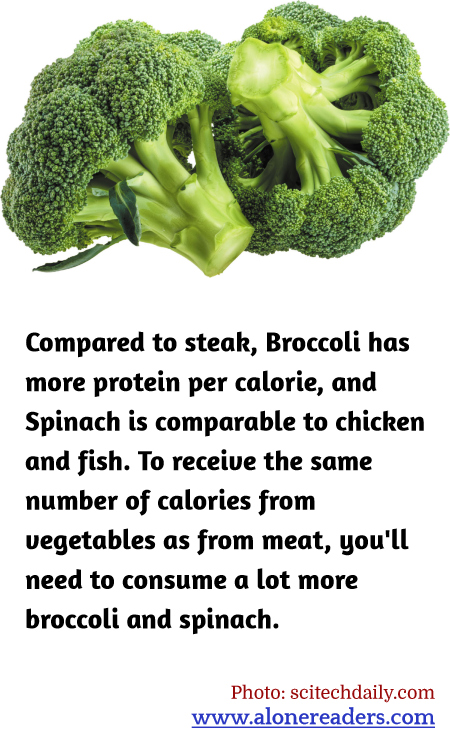 General Knowledge Learning Cards