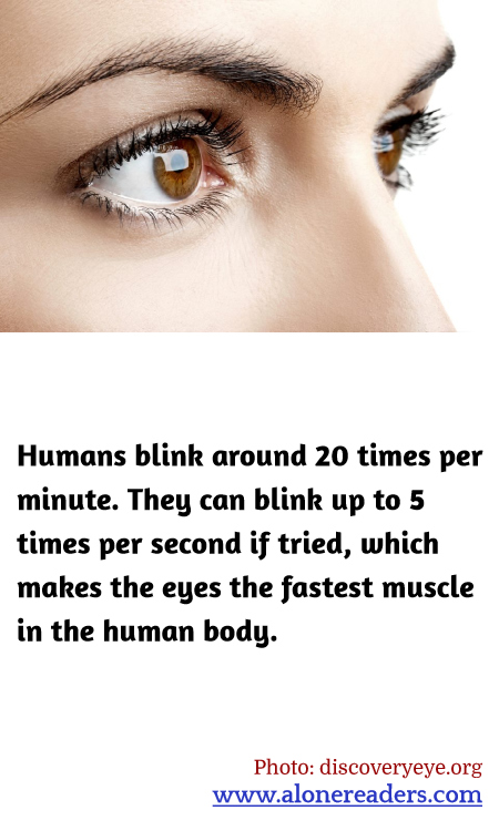 Humans blink around 20 times per minute. They can blink up to 5 times per second if tried, which makes the eyes the fastest muscle in the human body.