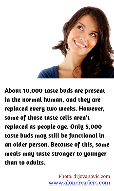 About 10,000 taste buds are present in the normal human, and they are replaced every two weeks. However, some of those taste cells aren't replaced as people age. Only 5,000 taste buds may still be functional in an older person. Because of this, some meals may taste stronger to younger than to adults.