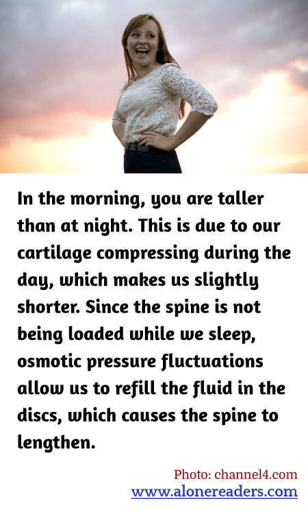 General Knowledge Learning Cards