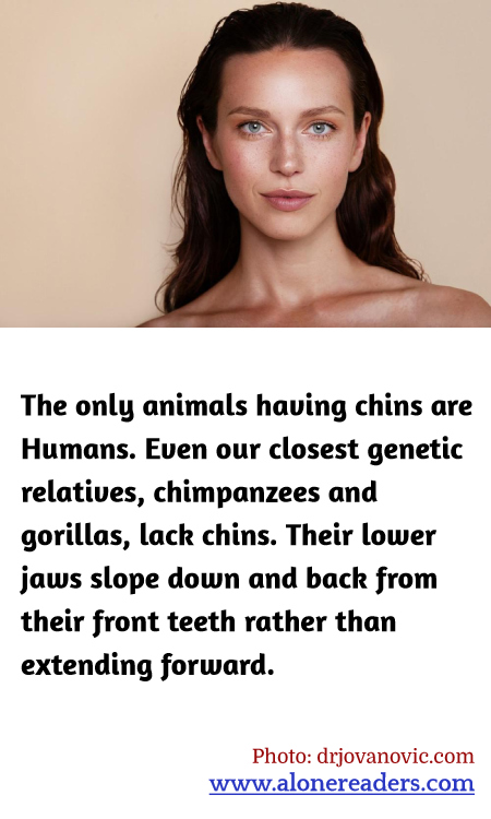 General Knowledge Learning Cards