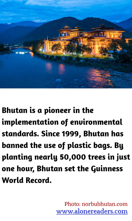 Bhutan is a pioneer in the implementation of environmental standards. Since 1999, Bhutan has banned the use of plastic bags. By planting nearly 50,000 trees in just one hour, Bhutan set the Guinness World Record.