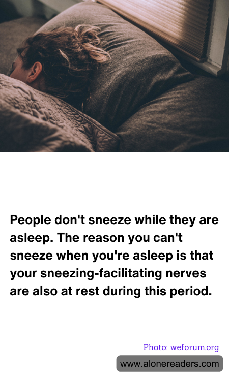 People don't sneeze while they are asleep. The reason you can't sneeze when you're asleep is that your sneezing-facilitating nerves are also at rest during this period.