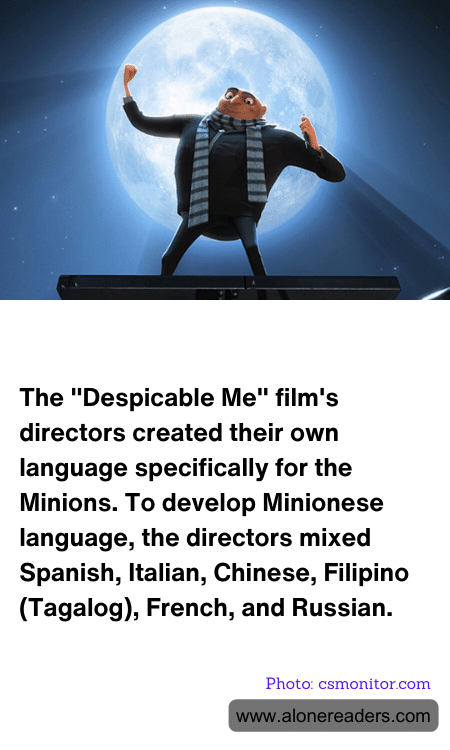 General Knowledge Learning Cards