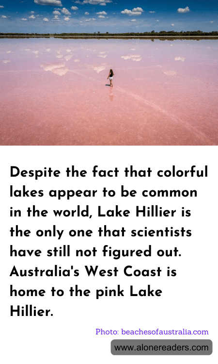 General Knowledge Learning Cards