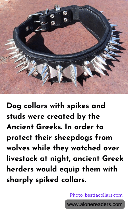 General Knowledge Learning Cards