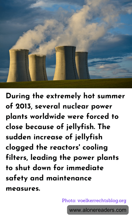 During the extremely hot summer of 2013, several nuclear power plants worldwide were forced to close because of jellyfish. The sudden increase of jellyfish clogged the reactors' cooling filters, leading the power plants to shut down for immediate safety and maintenance measures.