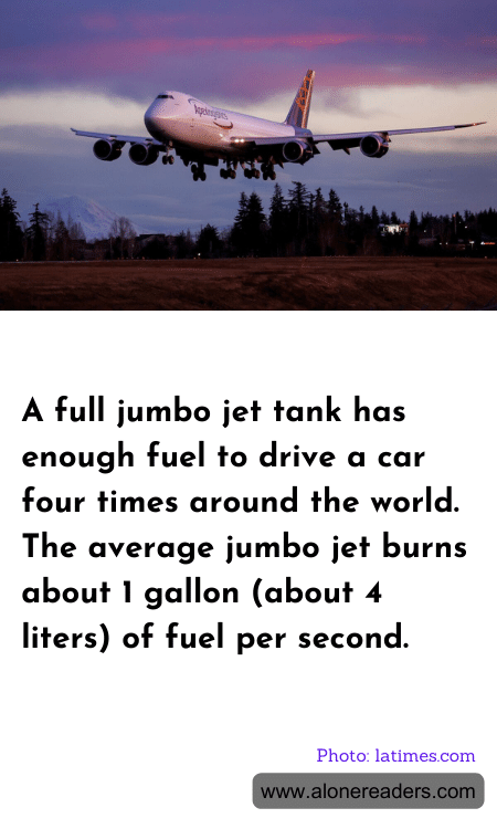 General Knowledge Learning Cards