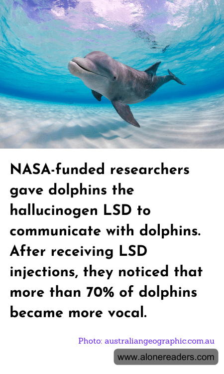 General Knowledge Learning Cards