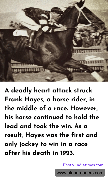 General Knowledge Learning Cards