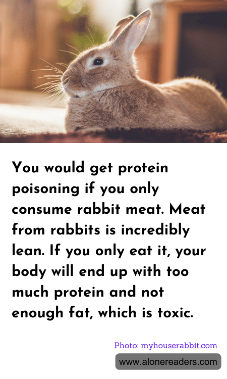 General Knowledge Learning Cards