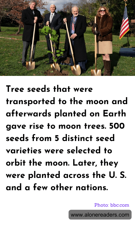 General Knowledge Learning Cards