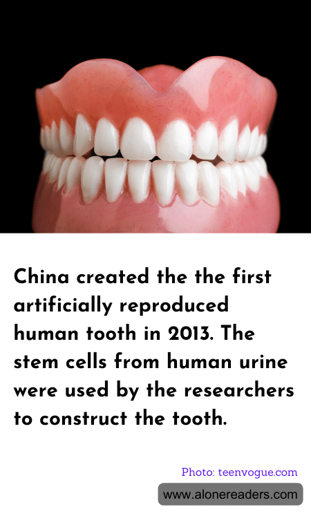 General Knowledge Learning Cards