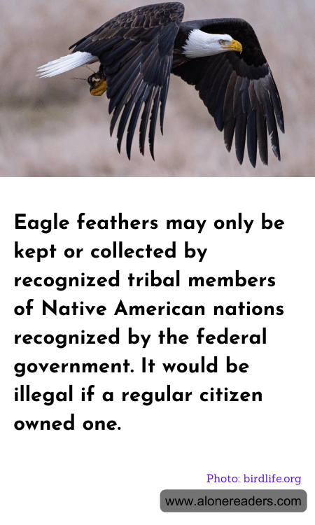 General Knowledge Learning Cards