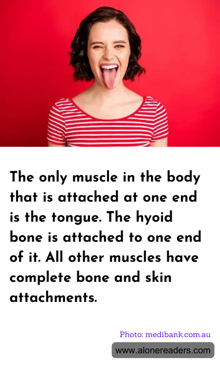 General Knowledge Learning Cards