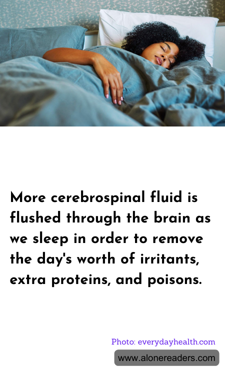 General Knowledge Learning Cards