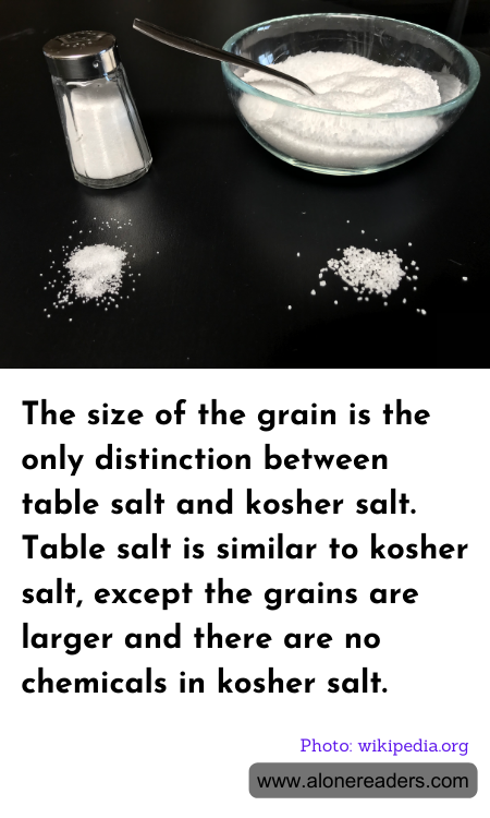 General Knowledge Learning Cards