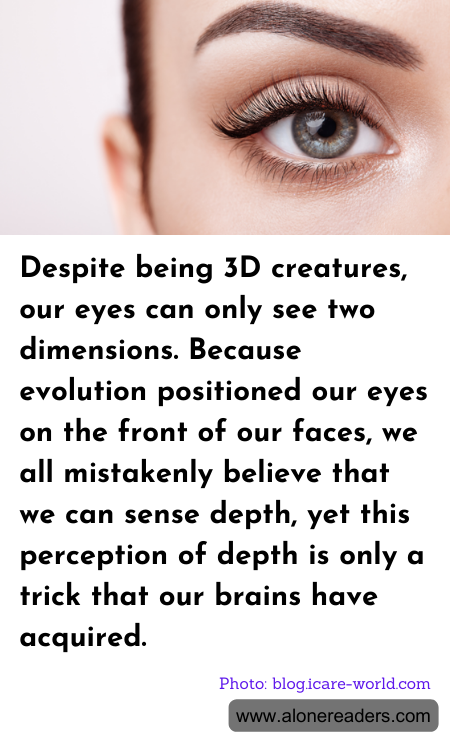 General Knowledge Learning Cards