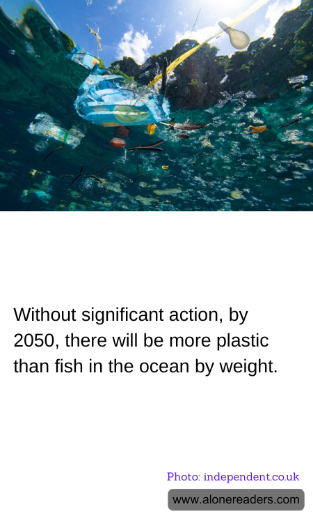 General Knowledge Learning Cards