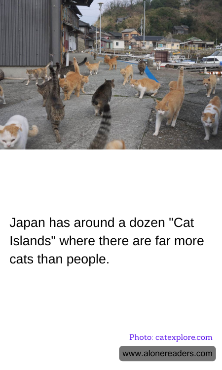 Japan has around a dozen "Cat Islands" where there are far more cats than people.