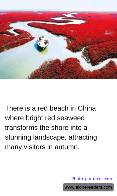 General Knowledge Learning Cards