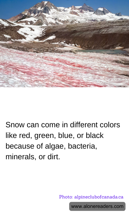 General Knowledge Learning Cards