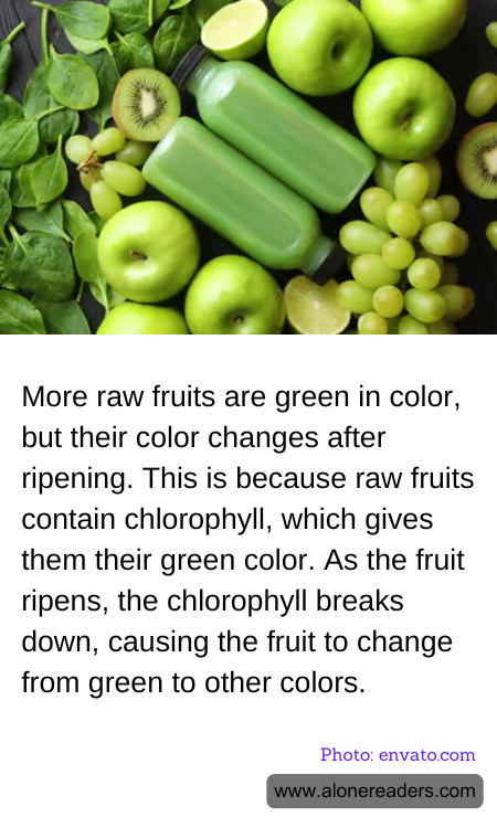 General Knowledge Learning Cards