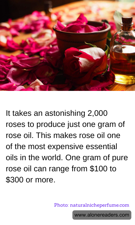 It takes an astonishing 2,000 roses to produce just one gram of rose oil. This makes rose oil one of the most expensive essential oils in the world. One gram of pure rose oil can range from $100 to $300 or more.