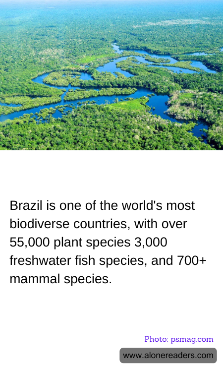 General Knowledge Learning Cards