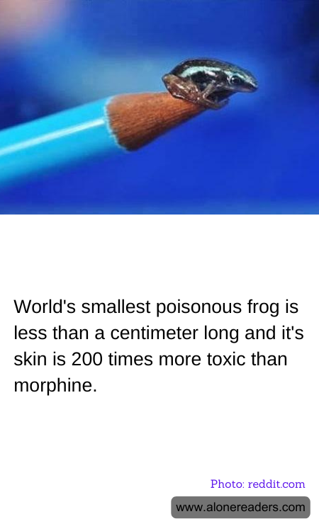 World's smallest poisonous frog is less than a centimeter long and it's skin is 200 times more toxic than morphine.