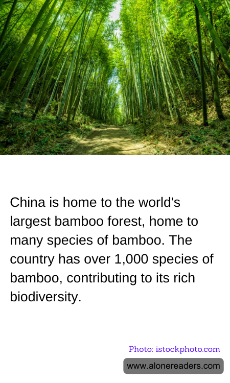 General Knowledge Learning Cards