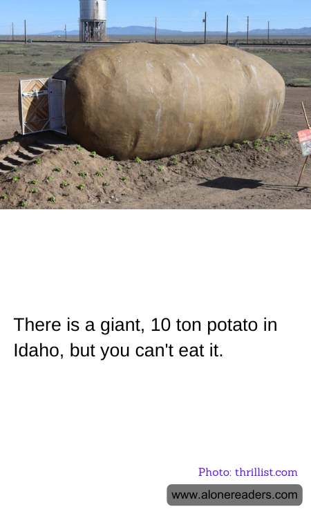 General Knowledge Learning Cards