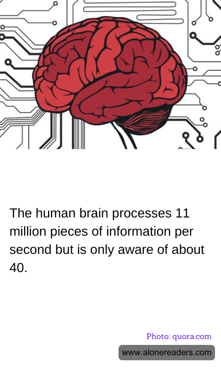 General Knowledge Learning Cards