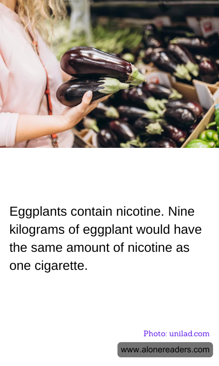 General Knowledge Learning Cards