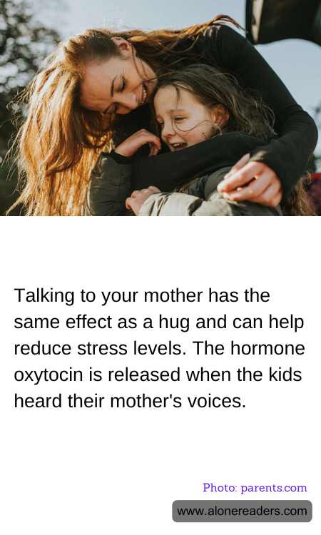 General Knowledge Learning Cards