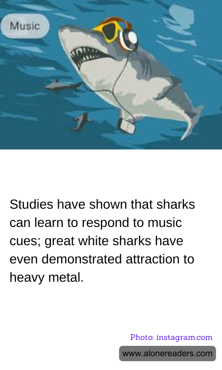 General Knowledge Learning Cards