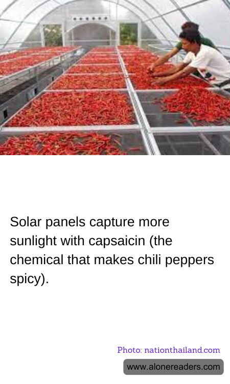 Solar panels capture more sunlight with capsaicin (the chemical that makes chili peppers spicy).
