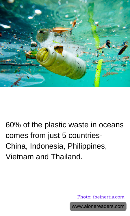 General Knowledge Learning Cards