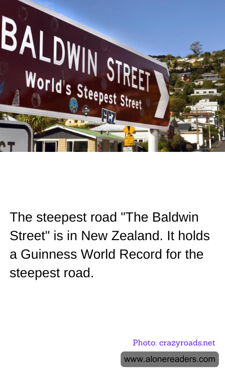 The steepest road "The Baldwin Street" is in New Zealand. It holds a Guinness World Record for the steepest road.
