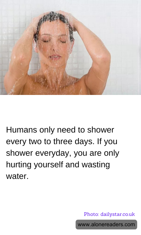 General Knowledge Learning Cards