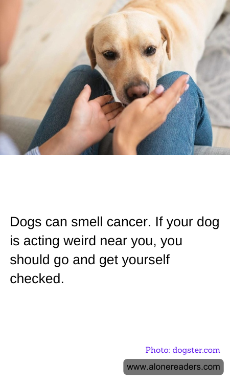 Dogs can smell cancer. If your dog is acting weird near you, you should go and get yourself checked.