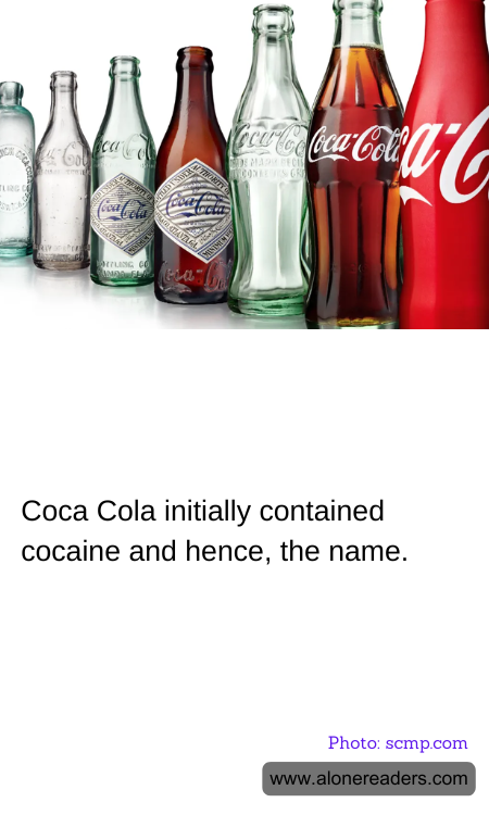 General Knowledge Learning Cards