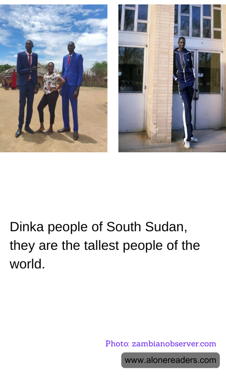 Dinka people of South Sudan, they are the tallest people of the world.