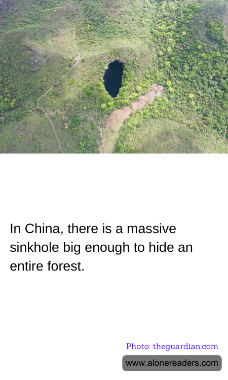 General Knowledge Learning Cards