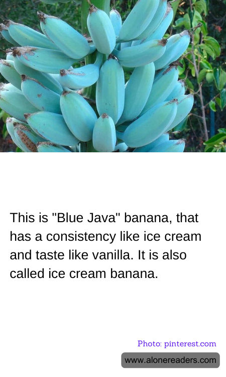 General Knowledge Learning Cards